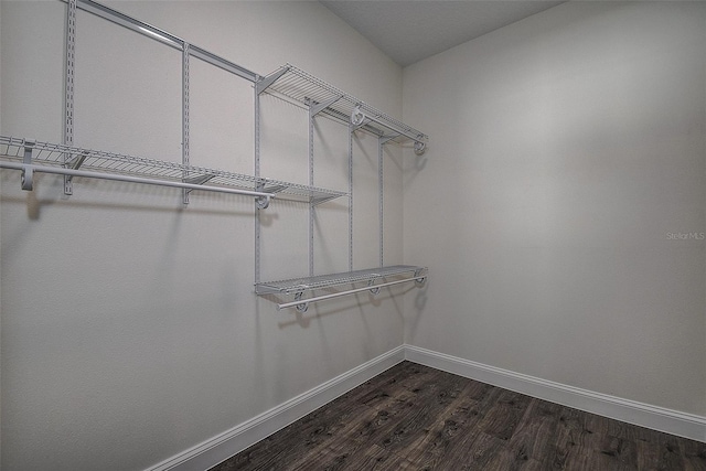 spacious closet featuring dark wood-type flooring