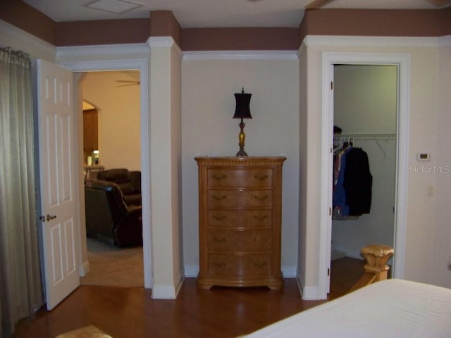 bedroom featuring a walk in closet, a closet, and dark hardwood / wood-style flooring