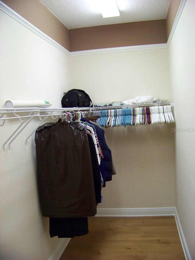 walk in closet featuring wood-type flooring