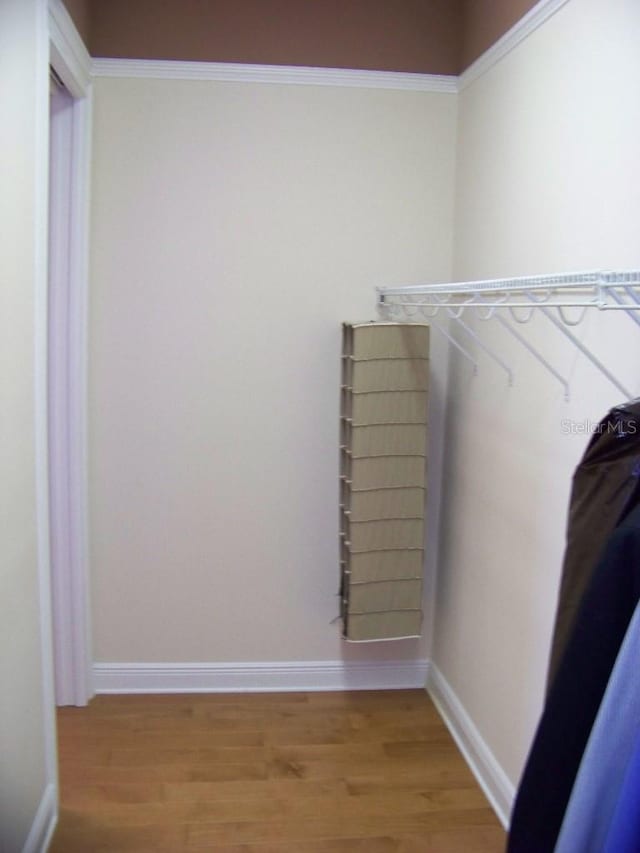 walk in closet featuring hardwood / wood-style flooring