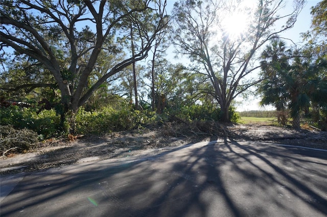 3834 29th Ave S, Saint Petersburg FL, 33711 land for sale