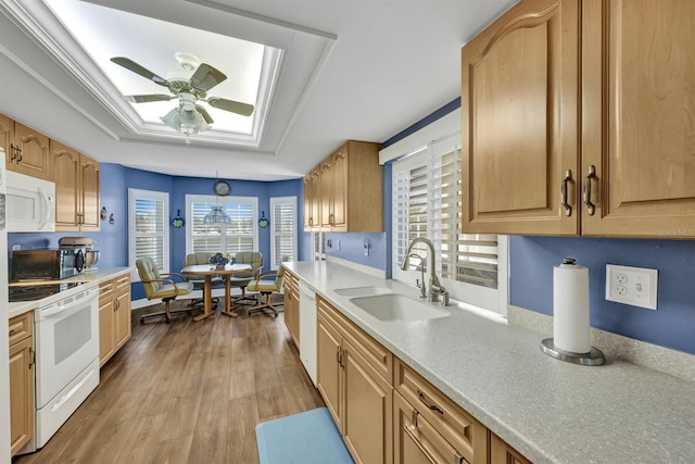 kitchen with white appliances, sink, a raised ceiling, ceiling fan, and light hardwood / wood-style flooring