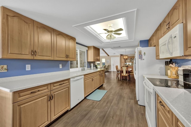 kitchen with sink, hardwood / wood-style floors, white appliances, and ceiling fan