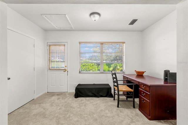 carpeted home office featuring a healthy amount of sunlight