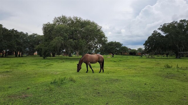 556 Waterway Dr, Lake Wales, FL 33898 - photo 16