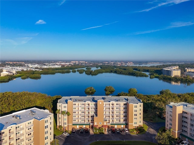 bird's eye view with a water view