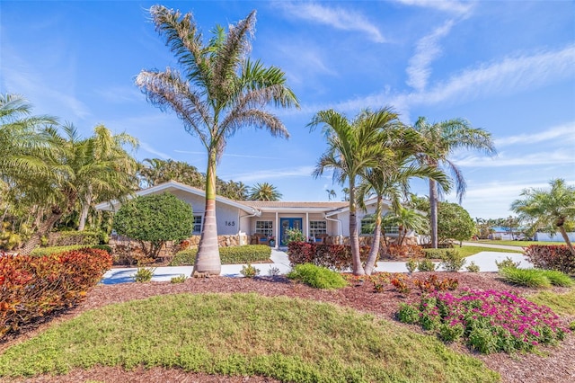 ranch-style home featuring stucco siding