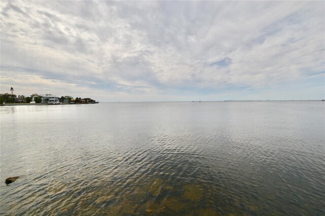 16 S Treasure Dr, Tampa, FL 33609 - photo 23