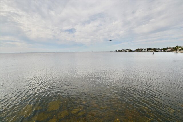 16 S Treasure Dr, Tampa, FL 33609 - photo 49