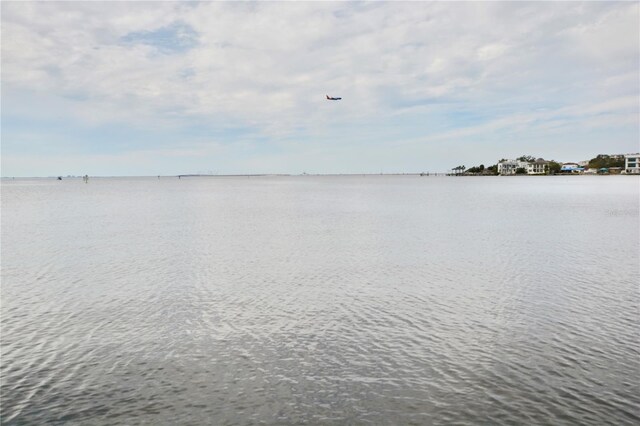 16 S Treasure Dr, Tampa, FL 33609 - photo 50