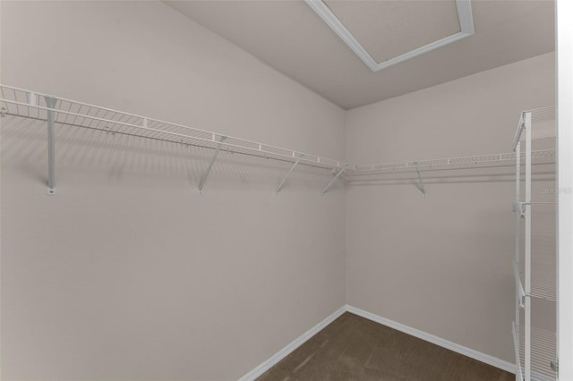 spacious closet with carpet