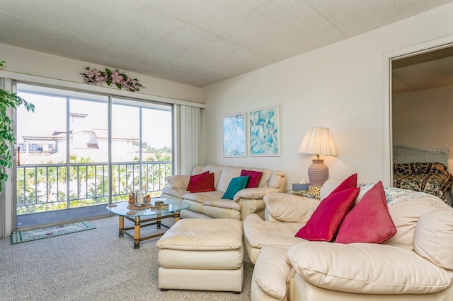 carpeted living room with a textured ceiling