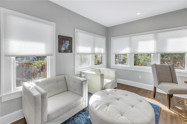 sitting room featuring dark hardwood / wood-style floors