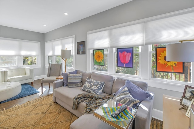 living room with hardwood / wood-style flooring