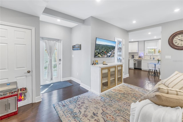 entrance foyer with dark hardwood / wood-style floors