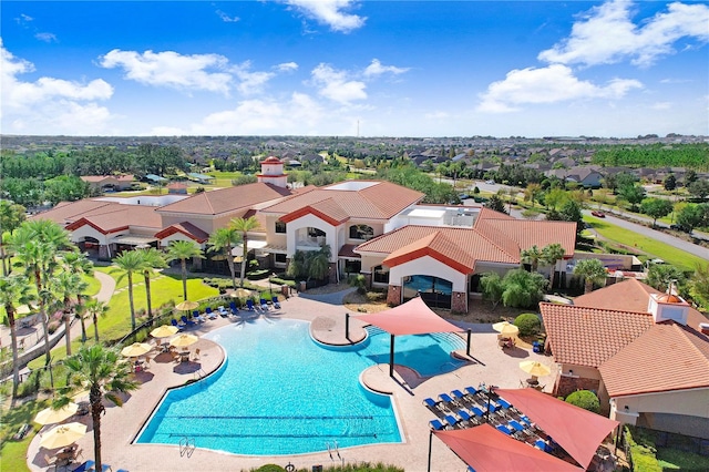 view of swimming pool featuring a patio