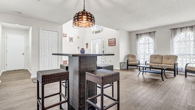 dining room with light hardwood / wood-style floors and a textured ceiling