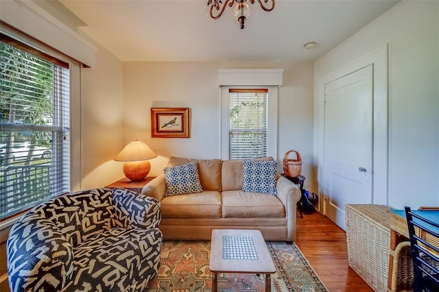 living room featuring hardwood / wood-style flooring and plenty of natural light