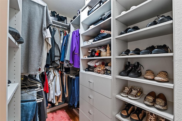 walk in closet featuring hardwood / wood-style floors