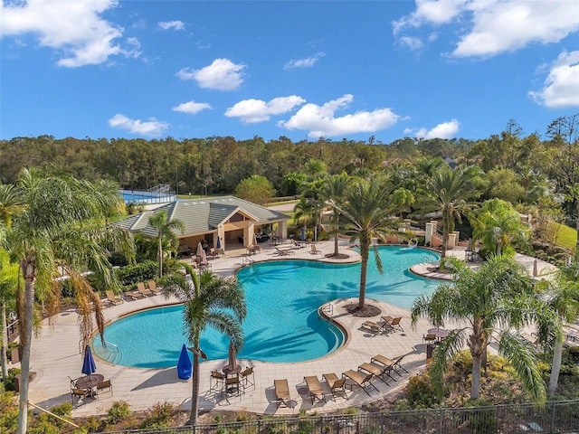 view of pool featuring a patio area