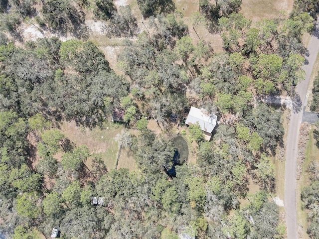 bird's eye view with a forest view