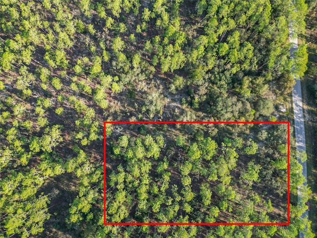 LOT6 Wisteria Ct, Dunnellon FL, 34431 land for sale