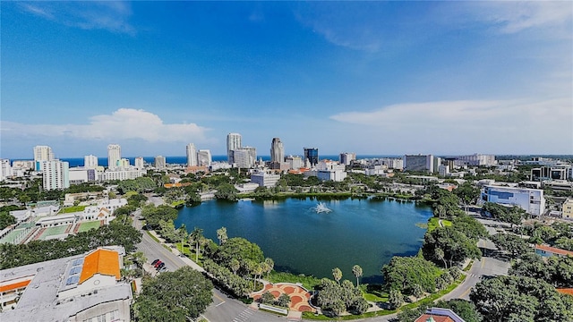 aerial view with a water view