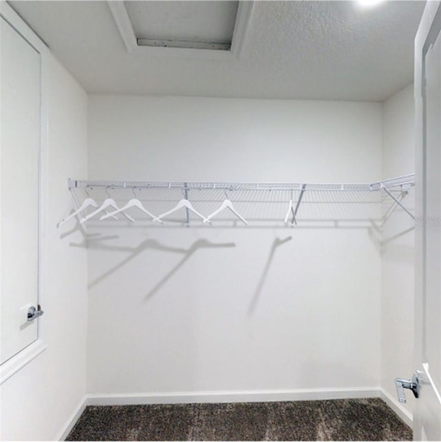 walk in closet featuring carpet flooring