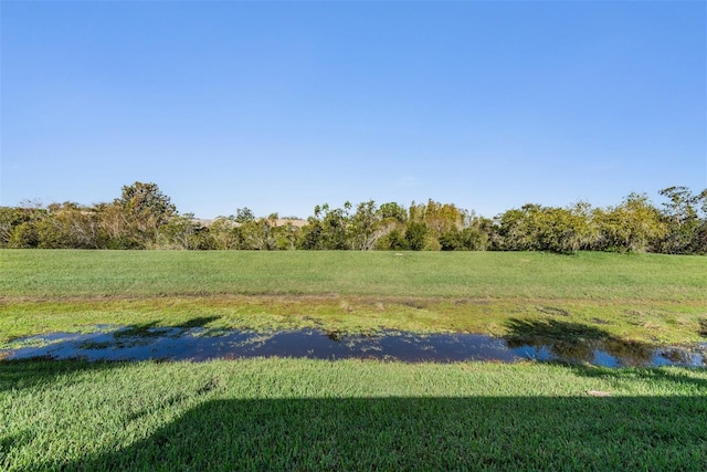 10520 Collar Dr, San Antonio, FL 33576 - photo 2