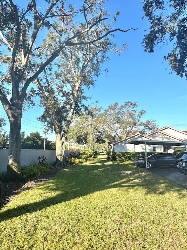 view of yard with a carport