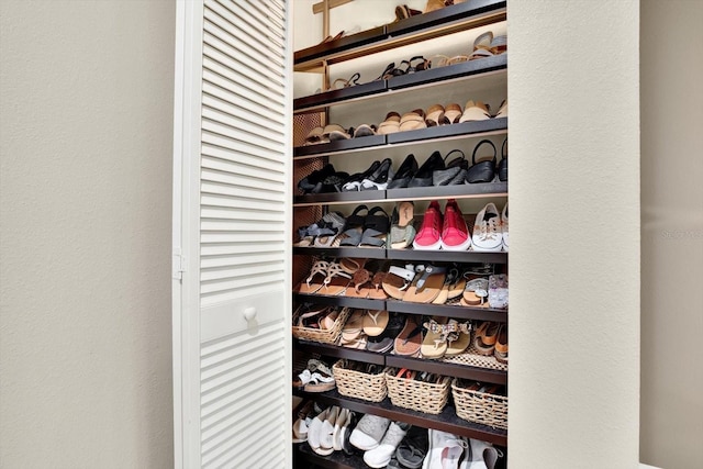 view of closet