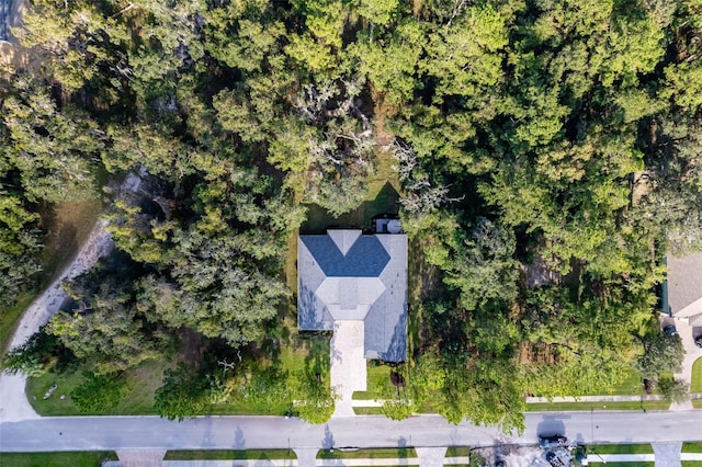 4586 Hickory Oak Dr, Brooksville, FL 34601 - view of property location