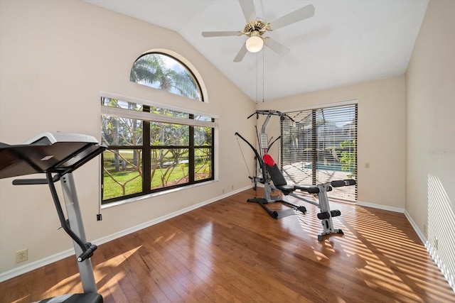 exercise room with hardwood / wood-style flooring, a healthy amount of sunlight, high vaulted ceiling, and ceiling fan