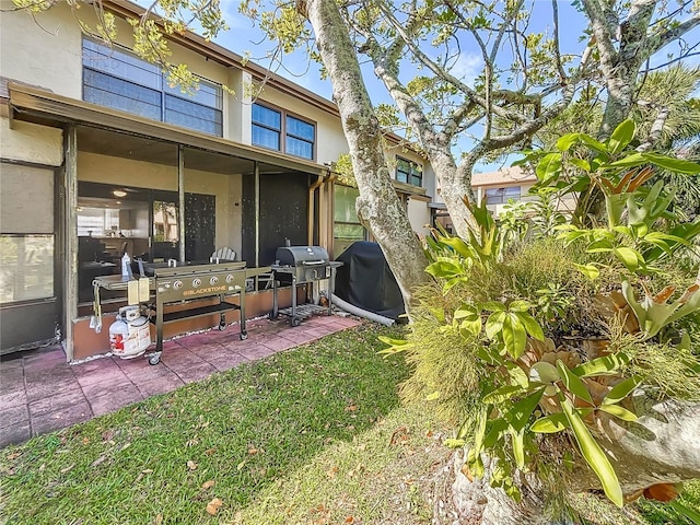 view of yard featuring a patio