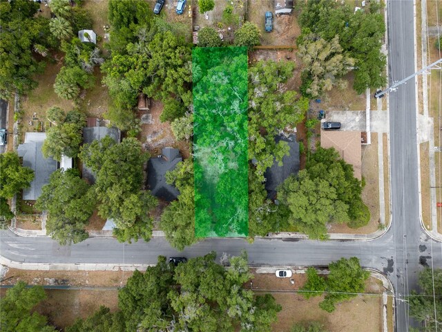 3505 E 29th Ave, Tampa, FL 33605 - photo 4