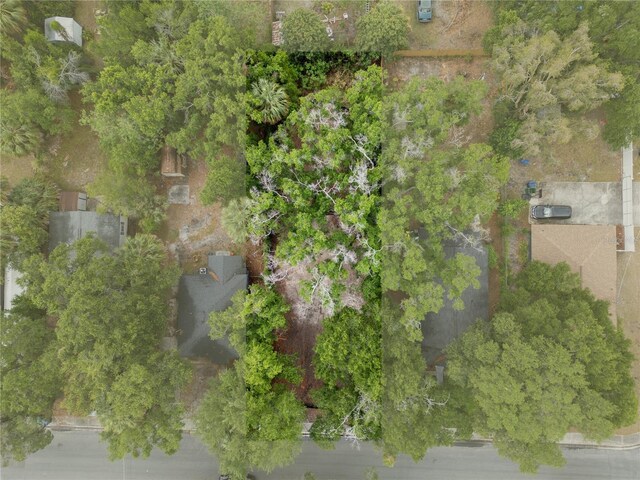 3505 E 29th Ave, Tampa, FL 33605 - photo 5