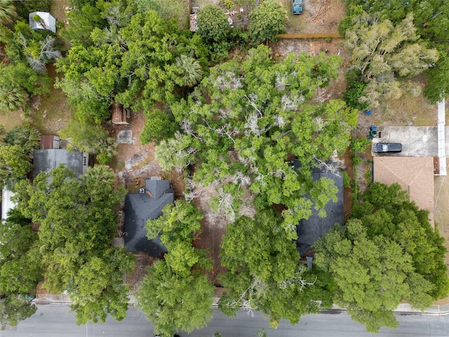 3505 E 29th Ave, Tampa, FL 33605 - photo 6