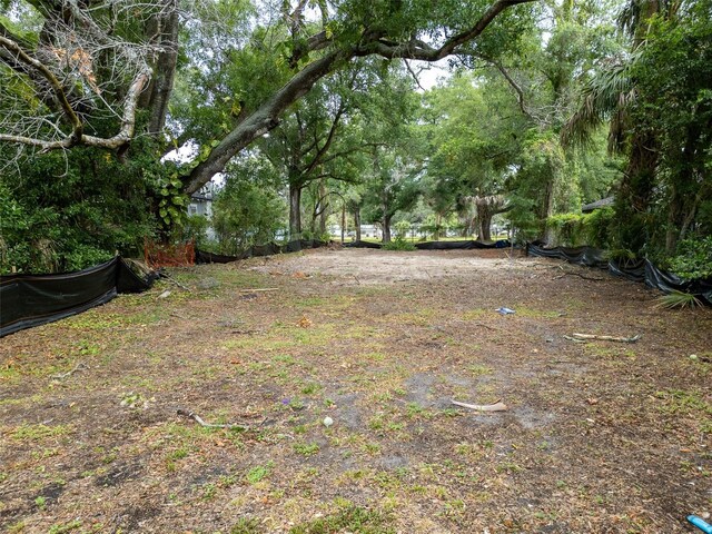3505 E 29th Ave, Tampa, FL 33605 - photo 9