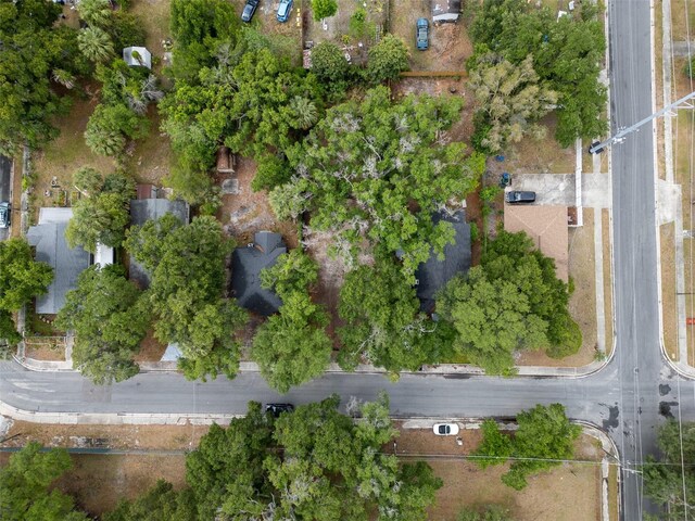 3505 E 29th Ave, Tampa, FL 33605 - photo 14