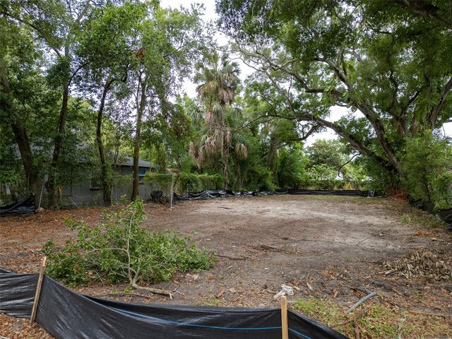 3505 E 29th Ave, Tampa, FL 33605 - photo 15