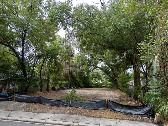 3505 E 29th Ave, Tampa, FL 33605 - photo 19