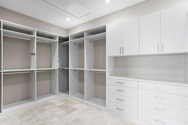 view of spacious closet