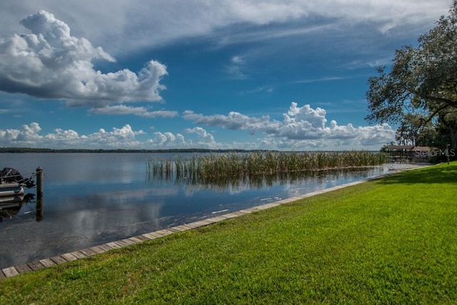 90 S Highland Ave Unit 1115, Tarpon Springs, FL 34689 - view of water feature