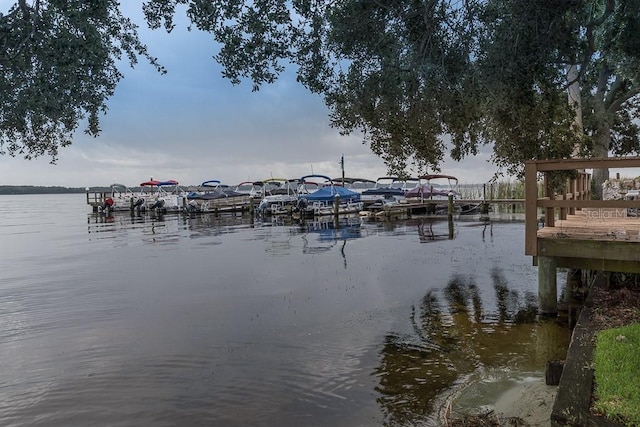 dock area featuring a water view