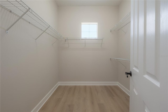 spacious closet with light wood-type flooring