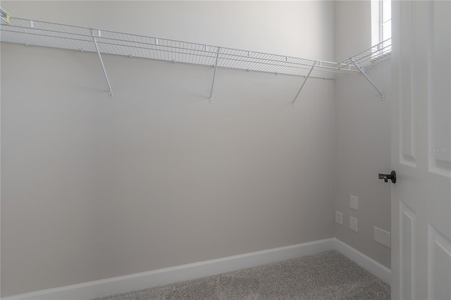 walk in closet featuring carpet flooring