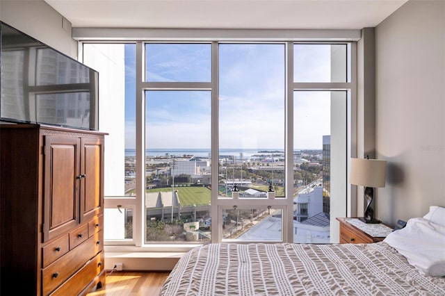 bedroom featuring light hardwood / wood-style flooring