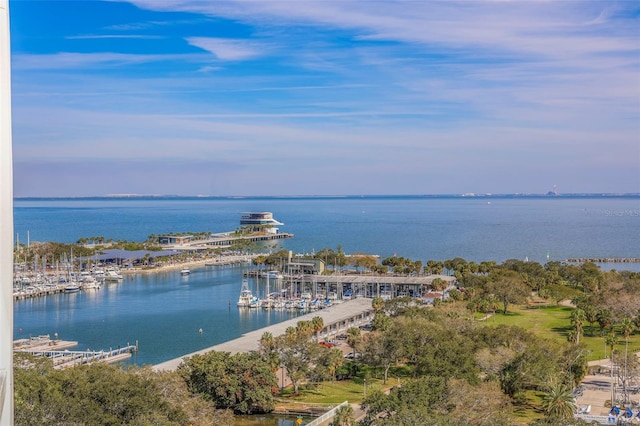 birds eye view of property with a water view