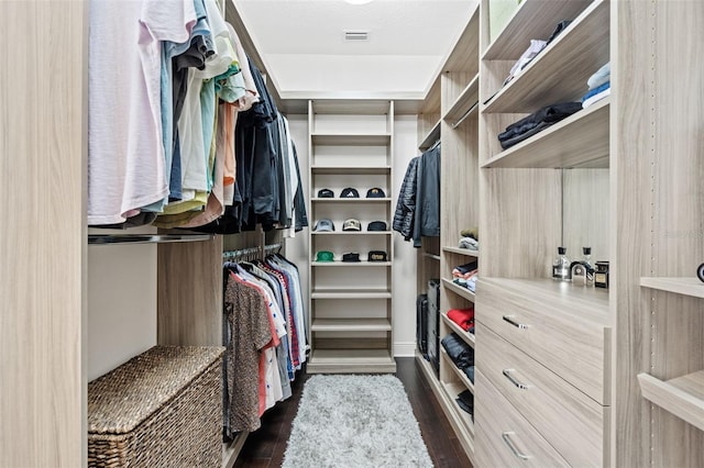 spacious closet featuring dark hardwood / wood-style flooring