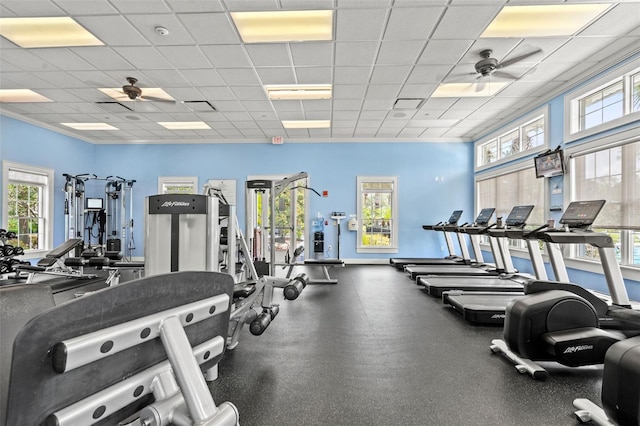 workout area with ceiling fan, a wealth of natural light, and a drop ceiling